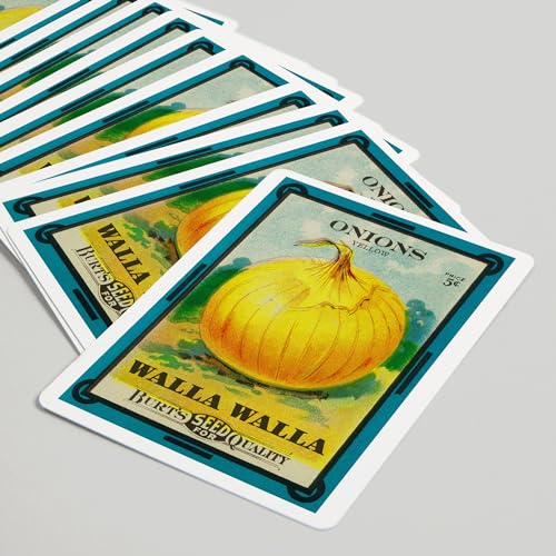 Lantern Press Baraja de Poker 52 Cartas Tamaño Poker miniatura 5