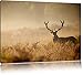 Produktbild Pixxprint Rotwild Hirsch im Nebel, Größe: 120x80cm, Leinwandbild, fertig gespannt, Wandbild, Dekoration, Kunstdruck, kein Poster