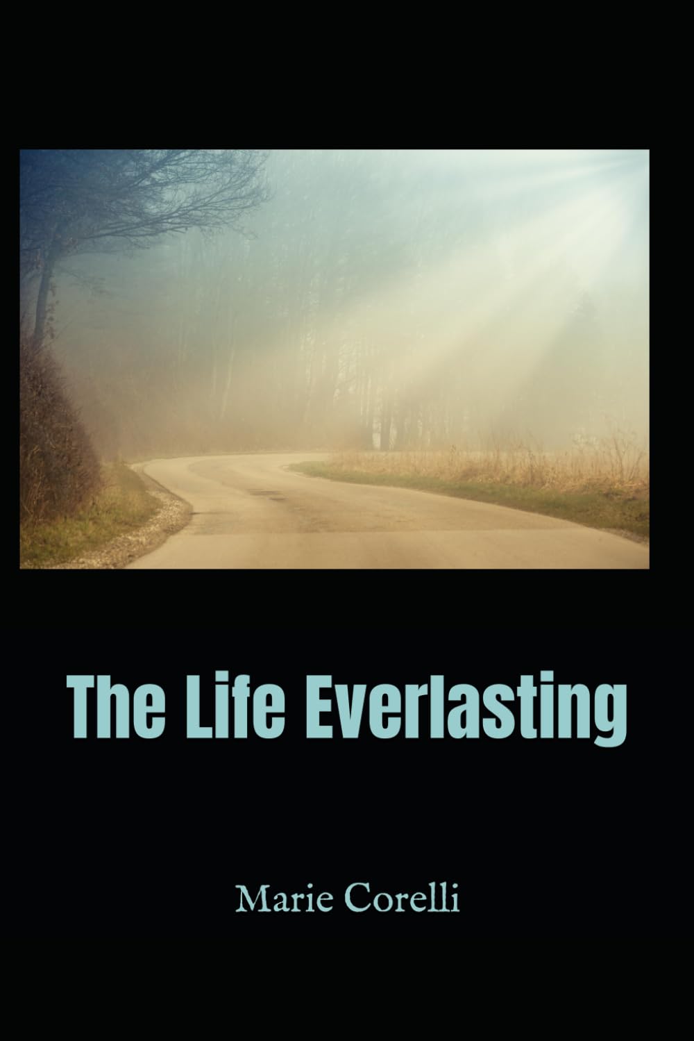 The Life Everlasting: A Spiritual Novel of Immortality, Faith, and Human Destiny