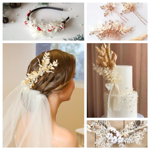 10 Pieces Dried White Italian Ruscus Eucalyptus - Real Preserved Ruscus Stem Branches, Real White Dried Floral Plant Pampas Green Leaves Bundle for Boho Wedding Party, Home Decor, Vase Filler