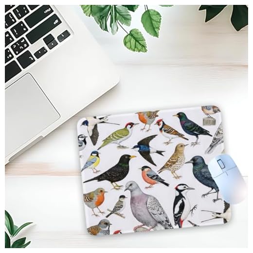 1 Pcs Colorful Bird Non-Slip Rubber Mouse Pad for Home Office Desk Laptop Gifts for Women Men Supervisor HR Bird Lovers