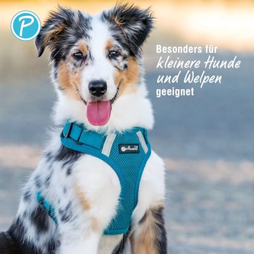 Petlando Hundegeschirr Mesh Vest, leichtes Brustgeschirr aus weichem Mesh & Nylon, stufenlos verstellbar, reflektierend mit 2 D-Ringen, Petrol M, Welpengeschirr mitwachsend