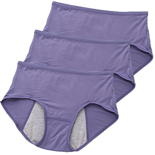 Women Underwear Girls Brief Bamboo Viscose Fiber Panties Multi Pack (Blue, 5)