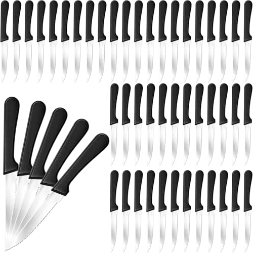 DKALIO 50 PCS 8.9 Inch Pointed Tip Serrated Steak Knife Set Bulk Rounded Tip Stainless Steel Steak Knives Sharp Blade Flatware for Restaurant Kitchen Banquets Camping