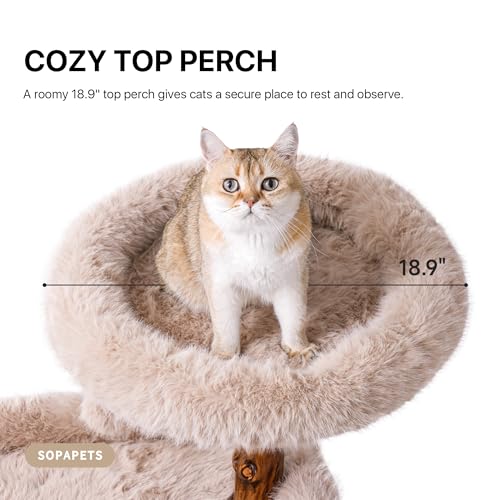 Árbol para gatos Sopapets Maine Coon con madera sólida y cojines removibles miniatura 5