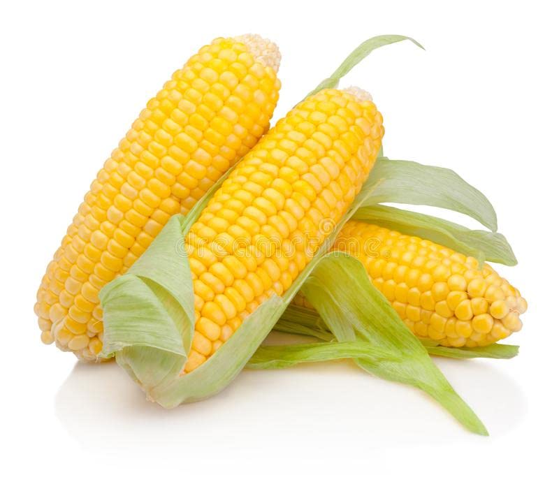 Sweet Corn Seeds Hybrids F1 Vegetable Seeds for Home Garden for Planting for All Season (100 seeds) By Zabbus (B0BHZHTFL1) Amazon Price History, Amazon Price Tracker