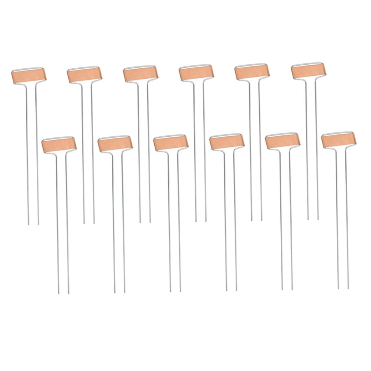 20 Stück Teiliges Kupfer Pflanzenetiketten Metall Pflanzenschilder Wiederverwendbar Gartenmarkierungen für Blumen Gemüse Geeignet für Gärtnerei Garten Außenbereich