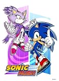 sonic nintendo ds lite This dynamic duo is a pair from different dimensions&but it's a match made to save the world!In search of the Sol Emerald, Sonic and Blaze must battle it out in their own worlds but as they do, ripple effects will change the events of the others