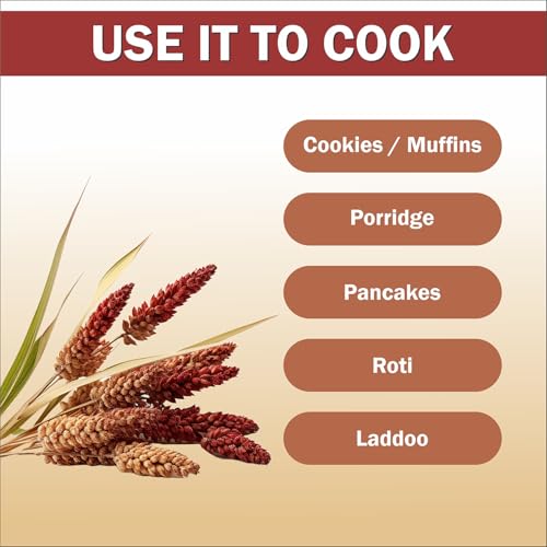Image of Nutriplato-enriching lives Sprouted Ragi Flour, 700g (Pack of 3)