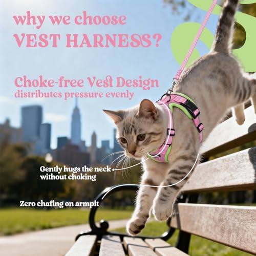 Image of rabbitgoo Cat Harness and Leash Set, Escape Proof Vest, Pink & Light Green | Soft Breathable Mesh, Easy Adjustable Fit, Snap Buckles, Sturdy Clip, Reflective Strips, for Medium to Large Cats Walks, M