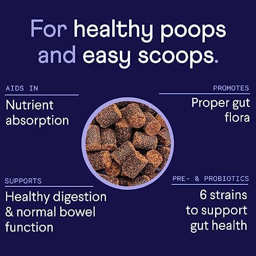 Finn PROBIOTICS-001 Digestive Probiotics thumb #1