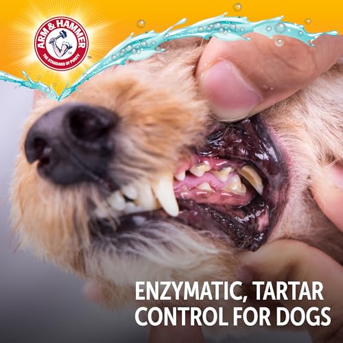 Image of Arm & Hammer Complete Care Dog Dental Kit with Two Flavors: Chicken & Peanut Butter Enzymatic Dog Toothpaste, Toothbrush, & Finger Brush, Baking Soda + Calcium, 2.5oz Each
