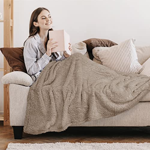 Pavilia Plush Sherpa Throw Blanket For Couch Sofa | Soft Fluffy Shaggy Fleece Blanket | Fuzzy, Cozy, Warm Microfiber Throw Solid Blanket, Taupe Tan Beige, 60X80, Twin Bed #TOP4