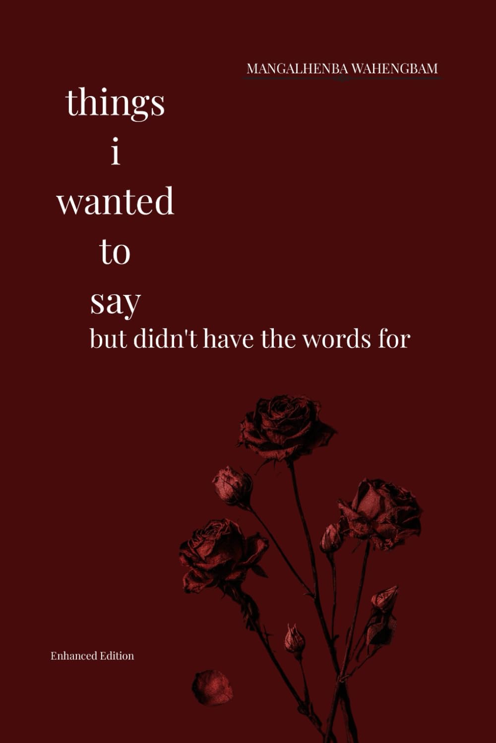 Things I wanted to say: but didn’t have the words for.: Enhanced edition