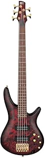 Ibanez SR305EDX Standard 5-String Right-Handed Electric Bass Guitar with Jatoba Fretboard, Nyatoh Body, and PowerSpan Dual Coil Pickups (Wine Red Frozen Matte)