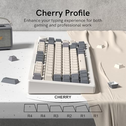 Image of dagaladoo Retro Double Shot PBT keycaps 127 Keys dye sumlimation Shine Through keycaps Set Cherry Profile Custom Keyboard Key caps for 60 /65 /75 /TKL /96 /100% US Layout Mechanical Keyboard(Grey /Beige)