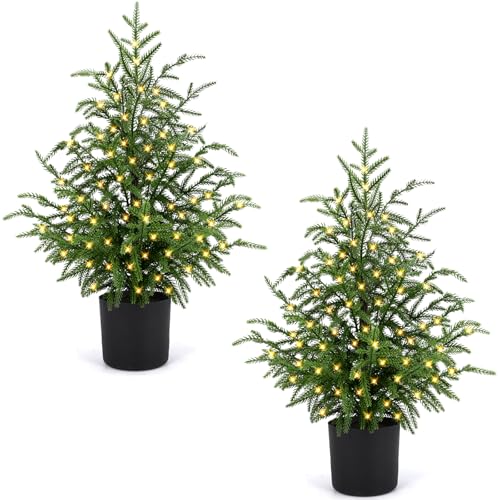 ENVEN 2FT Artificial Norfolk Pine Christmas Tree &ndash; Tabletop Faux Tree Unlit/Prelit with 50 LED...