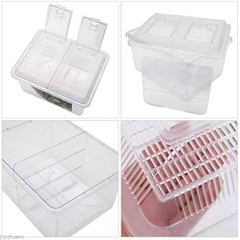 プラスチック製 2つ仕切り容器 600枚 Amazon | プラケース 飼育容器 特大 クリア 仕切り付き 仕切り
