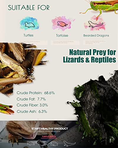 Tasty Freeze Dried Grasshopper Reptile Food For Turtles, Bearded Dragon, Hedgehog,Lizard, Chameleon, Birds (3 Oz) #TOP4