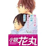 小説花丸 Vol.22