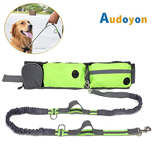 Audoyon Hands Free Dog Leash, Shock Absorbing Bungee Leash with Treat pouch, Pocket