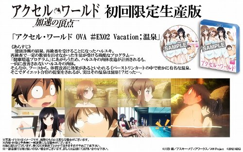 PS3 アクセル・ワールド 加速の頂点  通常版 Amazon.co.jp: アクセル・ワールド -加速の頂点- (通常版) - PS3
