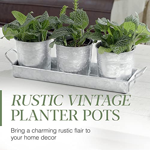 Wh Farmhouse Flower Herb Pot Set With Tray - Galvanized Metal Vintage Succulent Herb Planter Pots Caddy For Kitchen Windowsill Garden Indoor Or Outdoor Use By Walford Home #TOP1