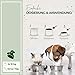 LAPURA Grünlippmuschelpulver Hund & Katze - 100% natürlich, für Gelenke & Mobilität, in Vollfettqualität, mit Omega 3, Grünlippmuschel Katze & Grünlippmuschel Hund Pulver, 250g