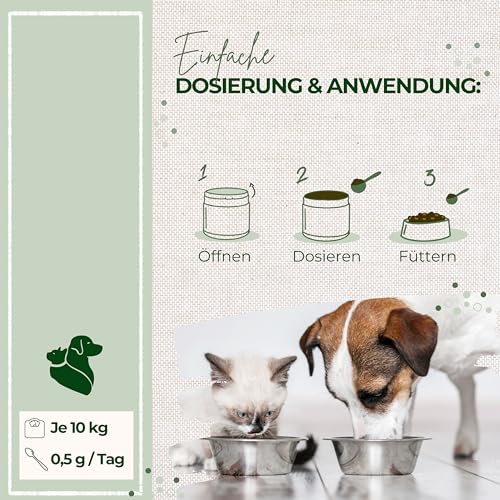 LAPURA Grünlippmuschelpulver Hund & Katze - 100% natürlich, für Gelenke & Mobilität, in Vollfettqualität, mit Omega 3, Grünlippmuschel Katze & Grünlippmuschel Hund Pulver, 250g