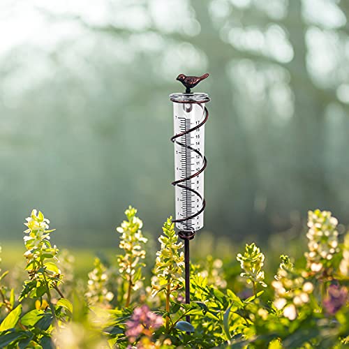 JOYBee 17,8 cm Kapazität Glas Spirale Regenmesser Gusseisen Vogel Hängende Regenmesser Garten Regen Wasserzähler Messung mit Metallrahmen, Dekoration für Outdoor Garten Rasen Hinterhof