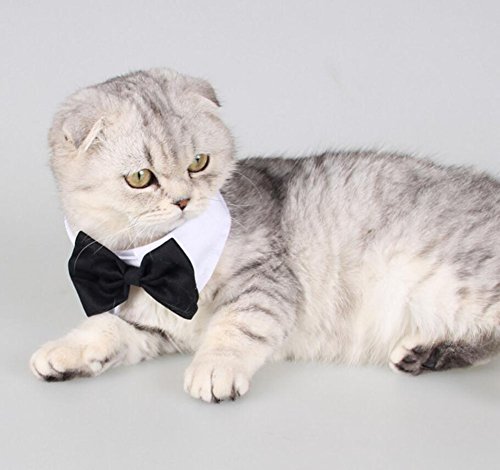 Diyafas 2 x Baumwolle Haustier Fliege Hundekrawatte Katzen Welpen Formelle Halsband Halsketten Einstellbar Krawatte Bowknot für Hochzeit Party
