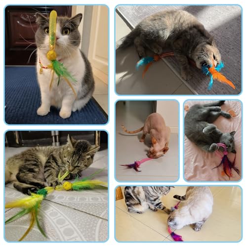 PetGens Jouet Chat Interactif, Jouets pour Chats à Ressort avec Boules Herbe à Chat, Plumes, Clochettes Jouet Chat Interieur – Image 3