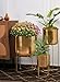 Serene Spaces Living Modern Mid‑Century Metal Indoor Planter with Stand, Gold Planter Pot, Indoor Plants – Decorative Planter Holder for Living Room, Kitchen & Office, 14