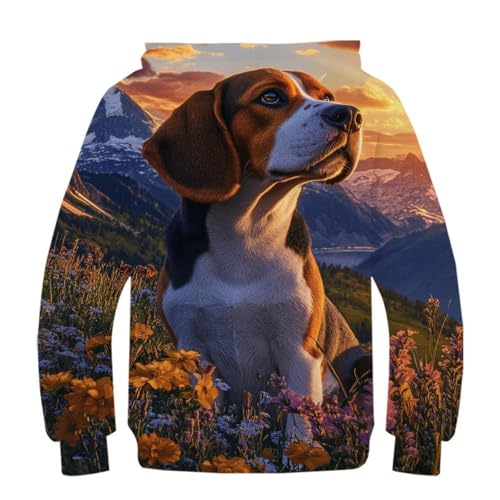 Sweat à capuche ado imprimé 3D pull ample confortable contre le froid - 3