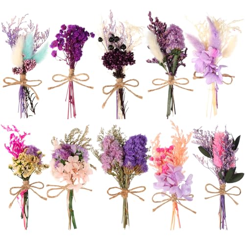 VAIPI 10 Pack Dried Flowers Bouquet Purple Dried Flower with