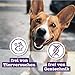 Chewies Fleischstreifen Mini aus 100% Ziege - 70 g - Fleischstreifen für Hunde - getrocknete Ziegenfleisch Kaustreifen - hypoallergen & getreidefrei - Dörrfleisch von der Ziege