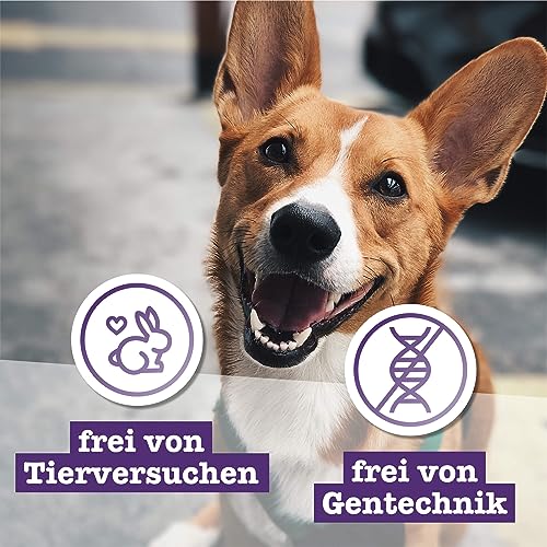 Chewies Fleischstreifen Mini aus 100% Ziege - 70 g - Fleischstreifen für Hunde - getrocknete Ziegenfleisch Kaustreifen - hypoallergen & getreidefrei - Dörrfleisch von der Ziege