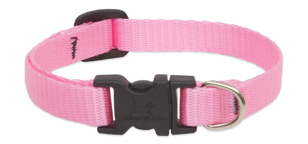 Lupine Dog Collar 8-12, Pink, 1/2 Inch