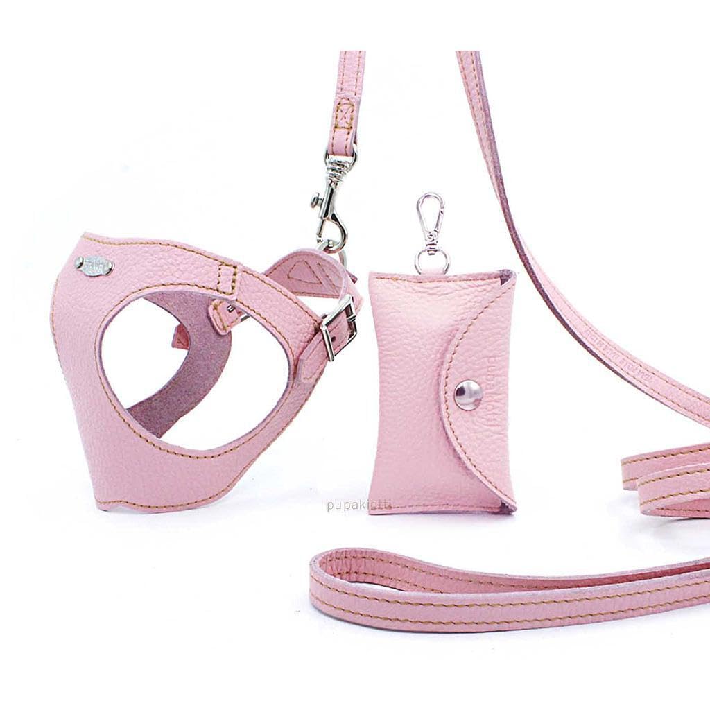 Basic. Set 3 Pezzi. Pettorina per Cani, Guinzaglio e Porta Sacchetti per Cane in Pelle Made in Italy Arancione 2XS