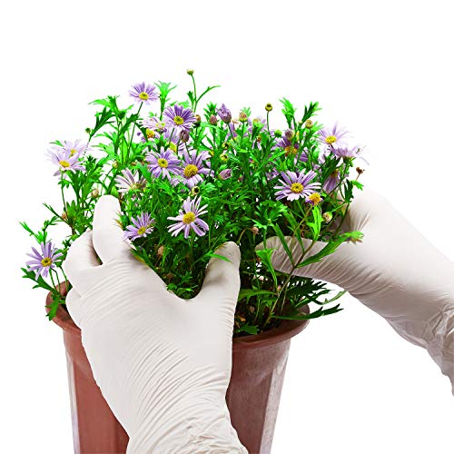 Zomchain Nitrile Gloves Kids Nitrile Gloves Disposable Gloves Kid For 4-10 Years thumb #5