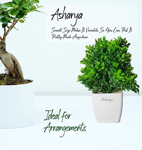 Image of Artificial Indoor Plant with Decorative Pot, Home Decor (Green)