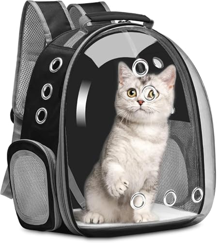 ybgL[obO LL[ Lp FDJvZ^ bNTbN sybgobO  o ʋC e ϋv S ܂肽 pbht O[ (ubN)