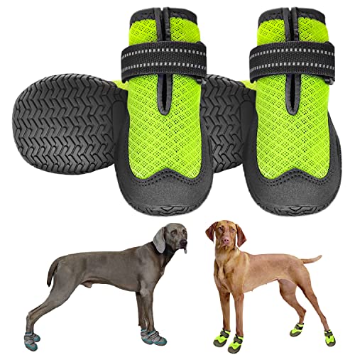 Top 10 Best Summer Boots For Dogs Reviews & Buying Guide Katynel
