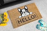 KOKO DOORMATS Kokos Fußmatte außen mit Anti-Rutsch PVC | Lustige Türmatte Hello - Bulldog | Umweltfreundlich, Robust & Pflegeleicht | 60x40 cm für Außenbereich & Haustür