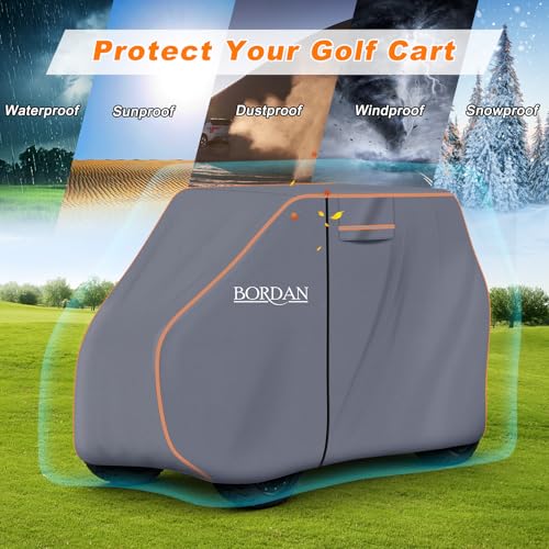 Image of BORDAN CAR Cover