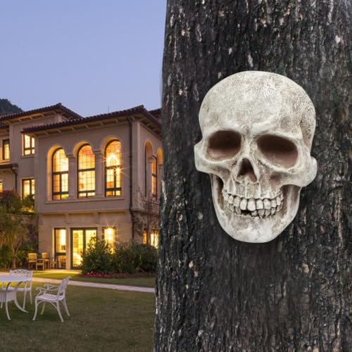 Calavera de hueso humano decorativa para estantería y escritorio 3
