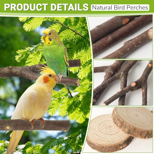 Image of 8 Pack Natural Wood Bird Perches for Cage, Wooden Parrot Perch | Wooden Parrot Stand Platforms, Hardwood Branches, Climbing & Chew Toy for Bird Cage Accessories, Ideal for Parakeets, Budgies