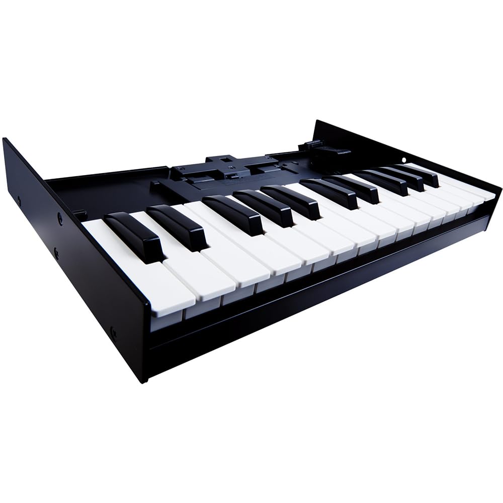 Amazon | Roland K-25M MIDIキーボードコントローラーバンドル 6