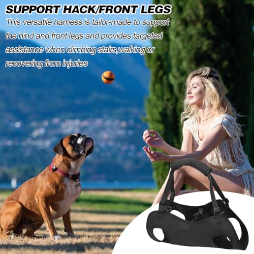 Yuragim Hunde Tragehilfe, Tragbares Hundegeschirr Treppe Verstellbare Tragehilfe Geschirr Hebegeschirr für Hinterbeine Hüftstütze mit Griffen Sicherheitsunterstützung für behinderte, verletzte Hunde