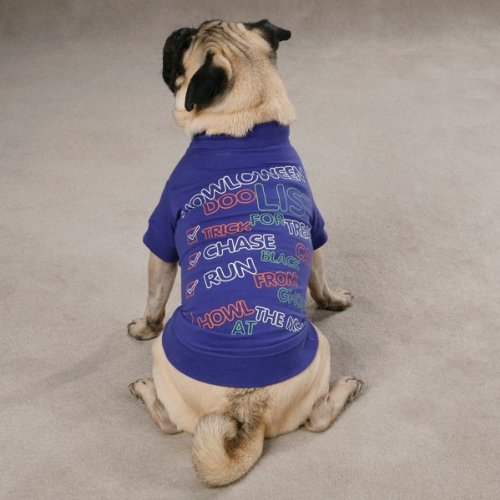 Zack & Zoey Halloween T-Shirt Für Hunde – „Halloween To DOO Liste“ Mit Leuchtaufdruck, Größe XS